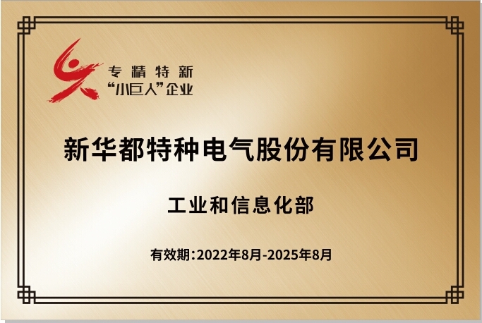 國家小巨人證書-新華都